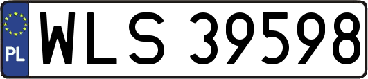 WLS39598