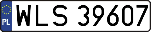 WLS39607