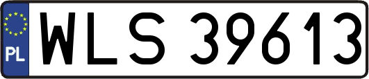 WLS39613