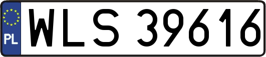 WLS39616