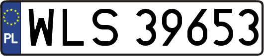 WLS39653