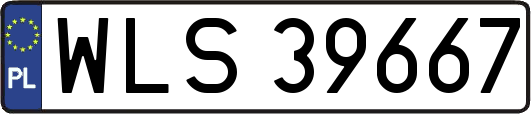 WLS39667