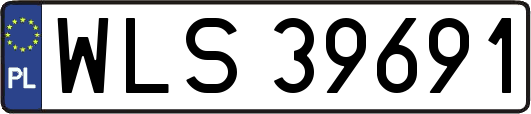 WLS39691