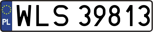 WLS39813