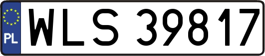 WLS39817