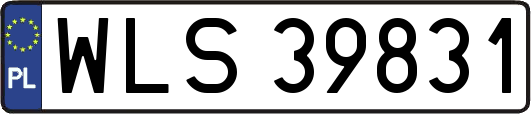 WLS39831