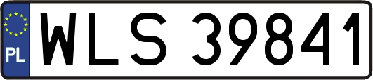 WLS39841