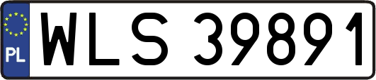 WLS39891