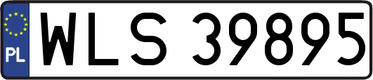 WLS39895
