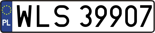 WLS39907