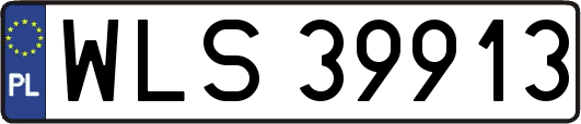 WLS39913