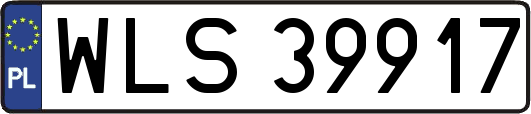WLS39917