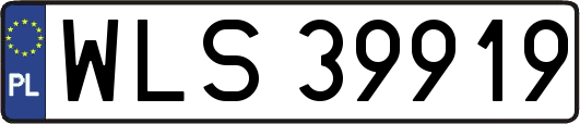 WLS39919