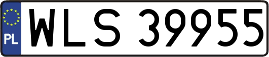 WLS39955