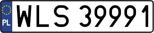 WLS39991