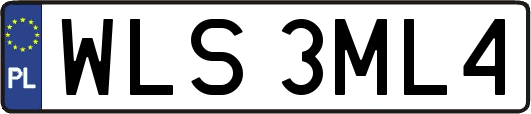 WLS3ML4