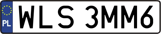 WLS3MM6