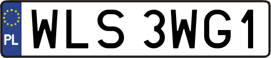 WLS3WG1