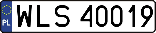 WLS40019