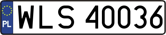 WLS40036