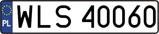 WLS40060