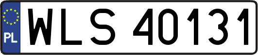 WLS40131