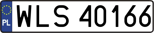 WLS40166