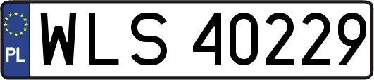 WLS40229
