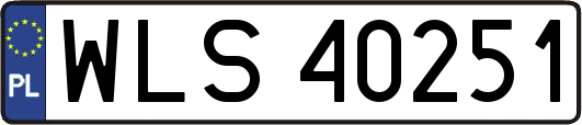 WLS40251
