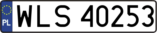 WLS40253