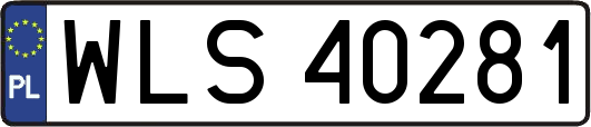 WLS40281