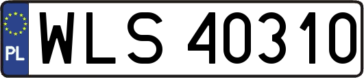 WLS40310
