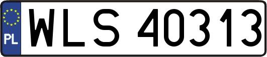 WLS40313