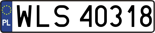 WLS40318