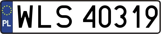 WLS40319