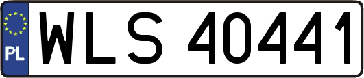 WLS40441