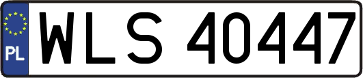 WLS40447