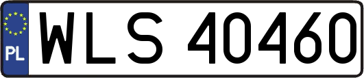 WLS40460