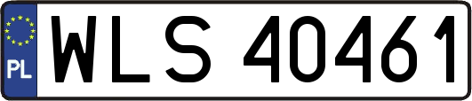 WLS40461