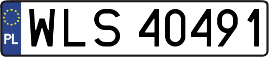 WLS40491