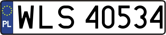 WLS40534