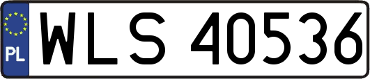 WLS40536