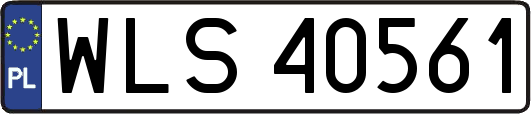 WLS40561