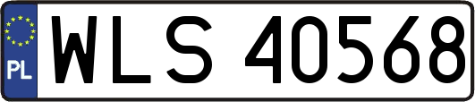 WLS40568