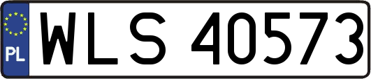 WLS40573