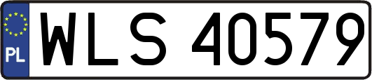 WLS40579