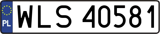WLS40581