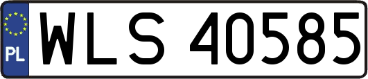WLS40585
