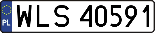 WLS40591