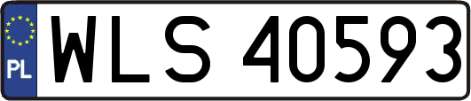 WLS40593